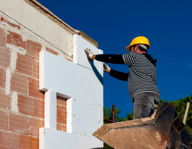 Best Cellulose Insulation in Willow Oak, FL